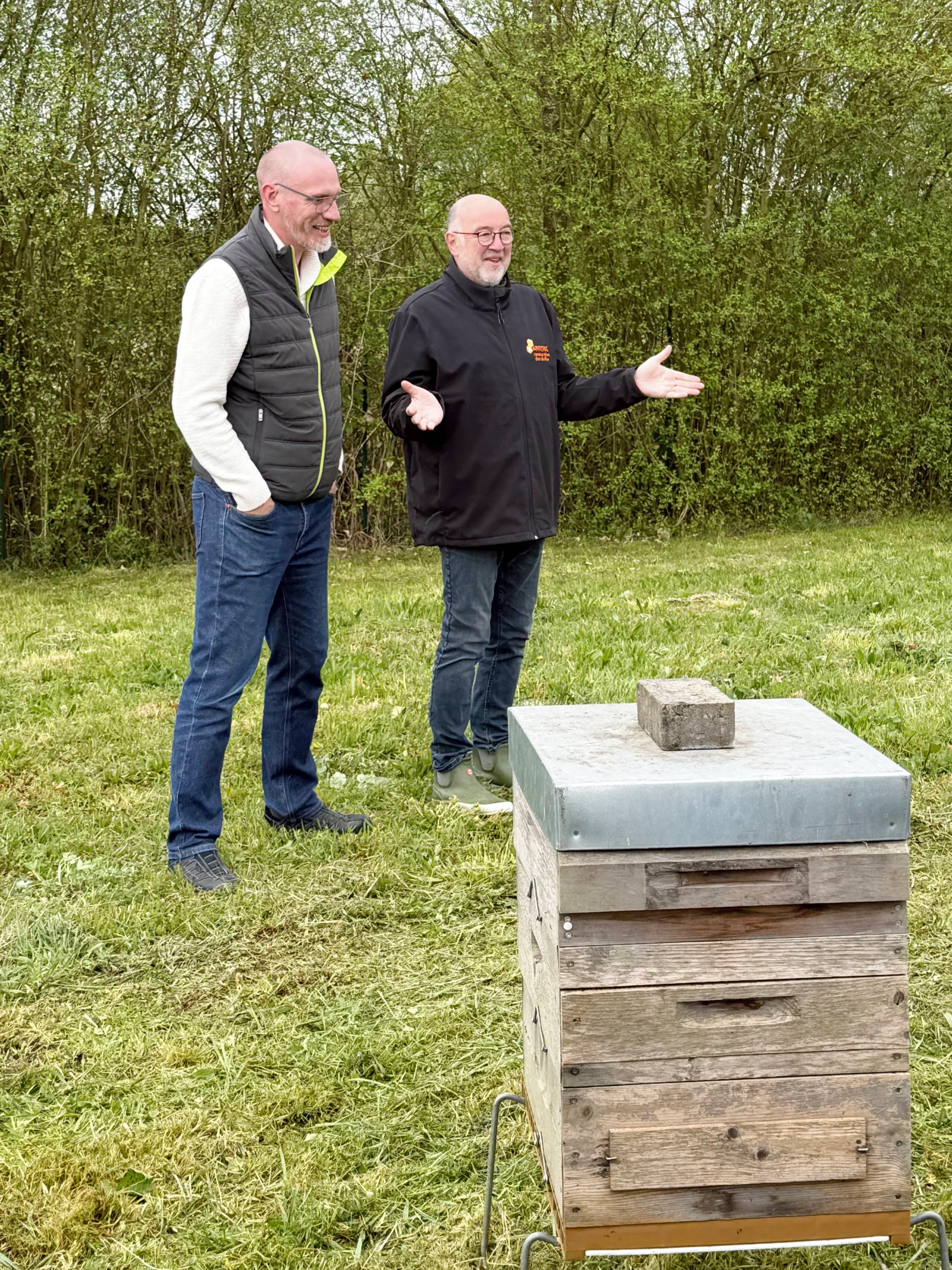 Préparation du terrain pour l'accueil des pollinisateurs