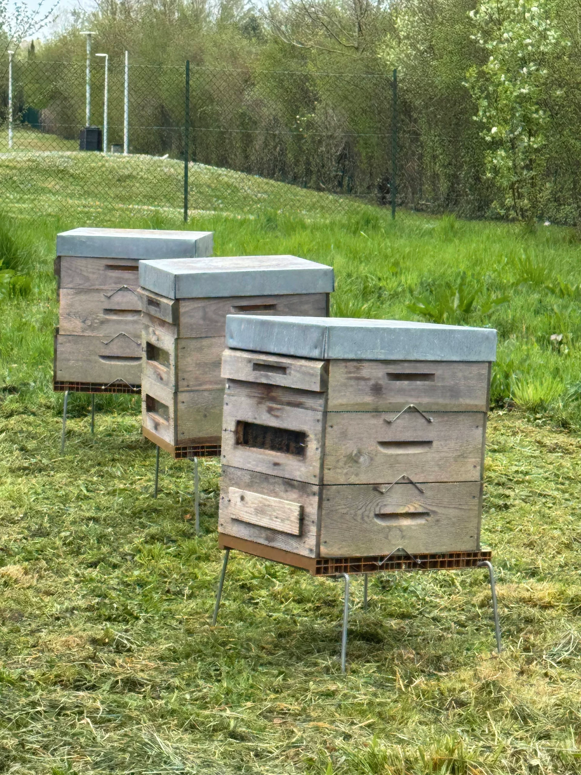 Détail de la ruche installée chez ATALU à Ernstein