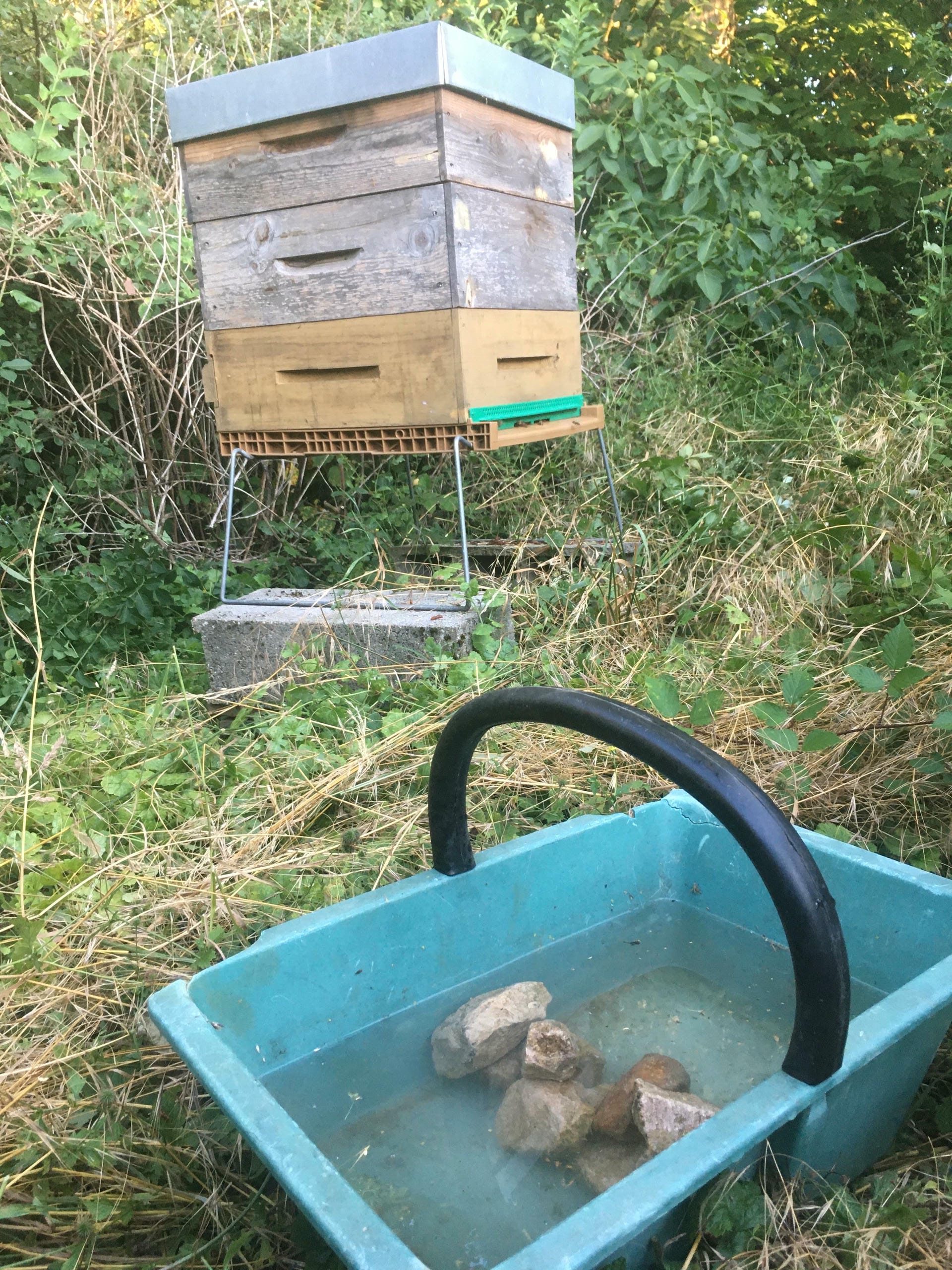 Point d'eau pour abeilles installé à Bretten