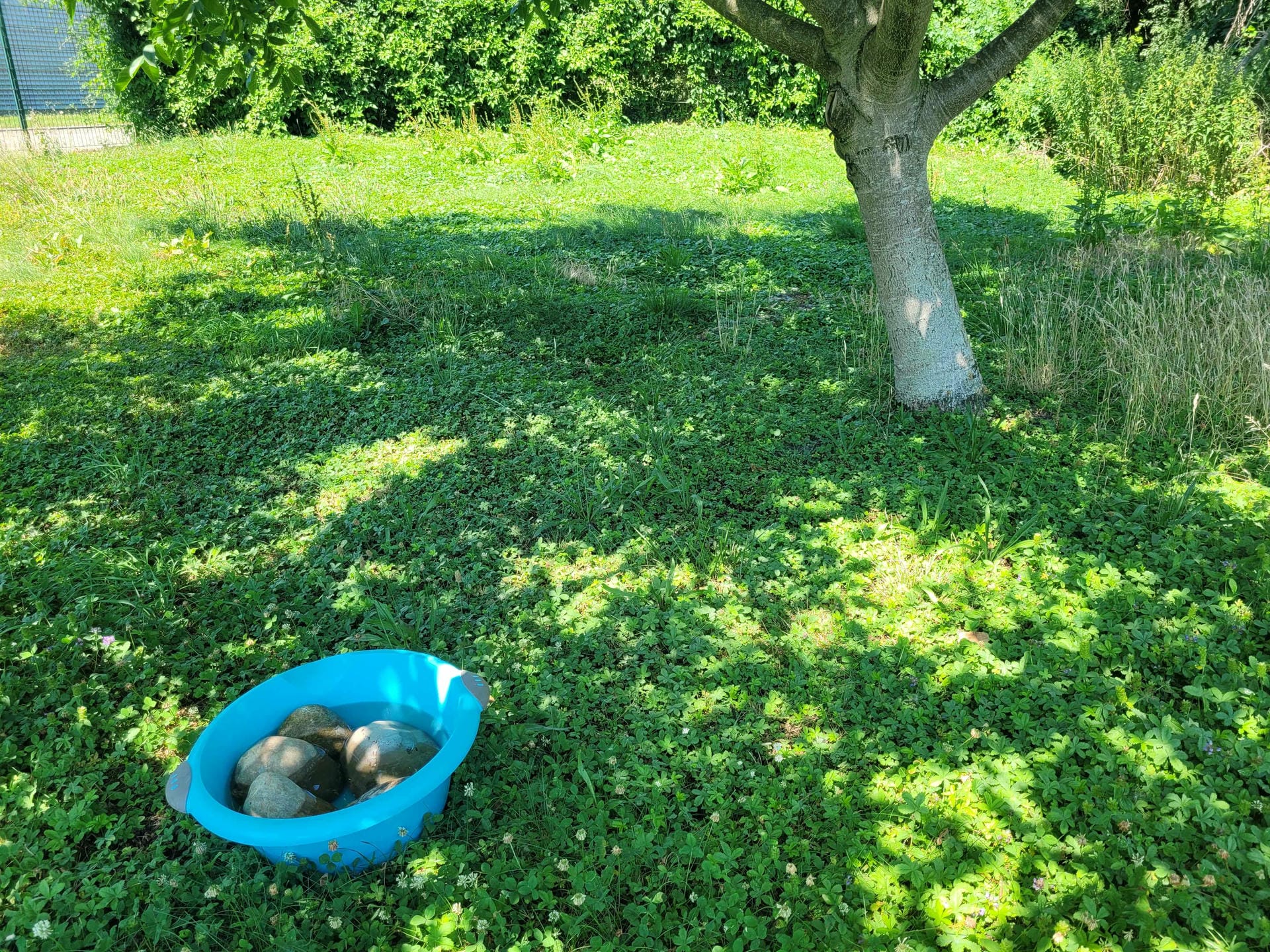 Abreuvoir pour ruche chez Diam Ind