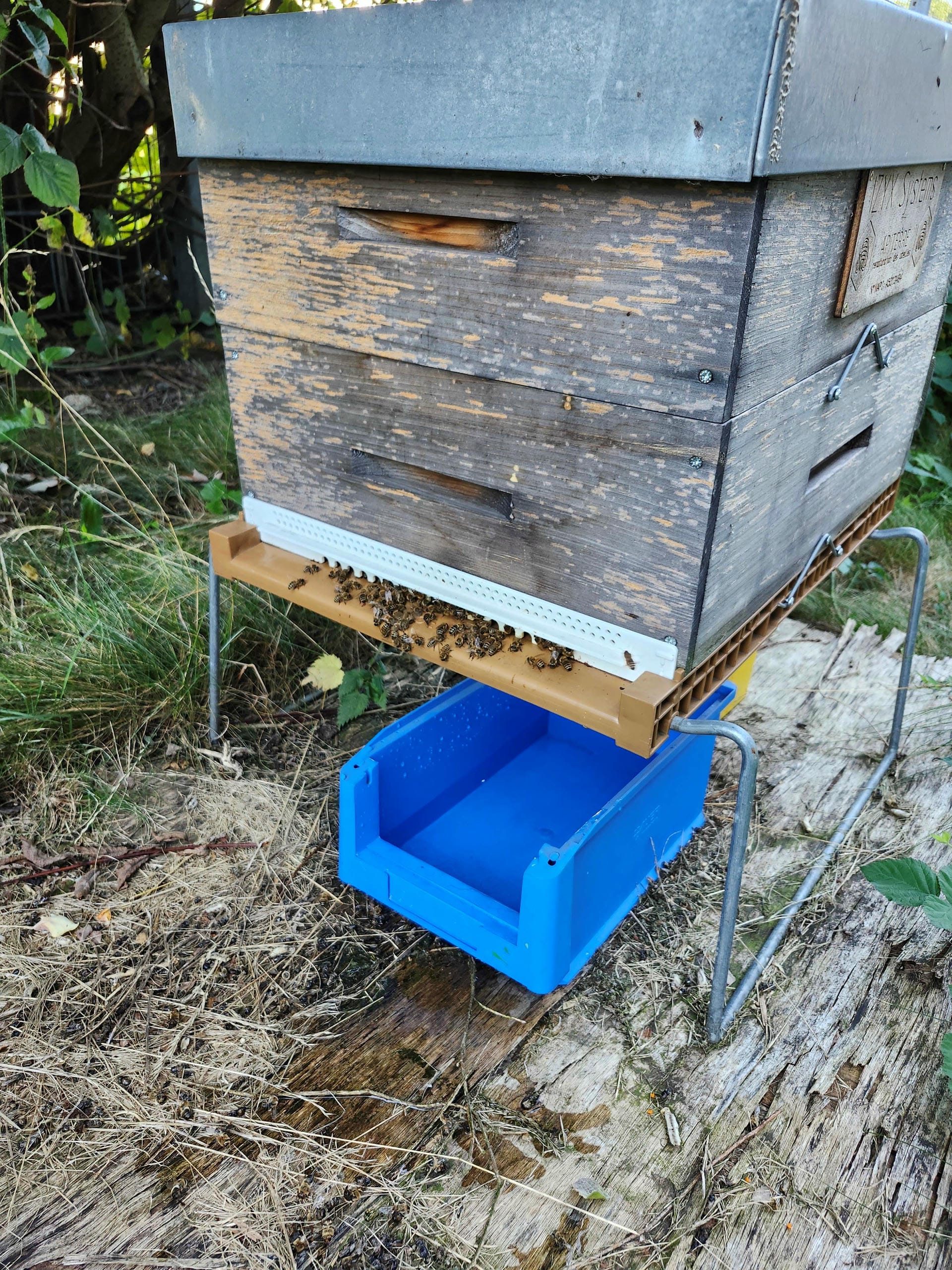 Point d'eau aménagé pour les abeilles par Isyx