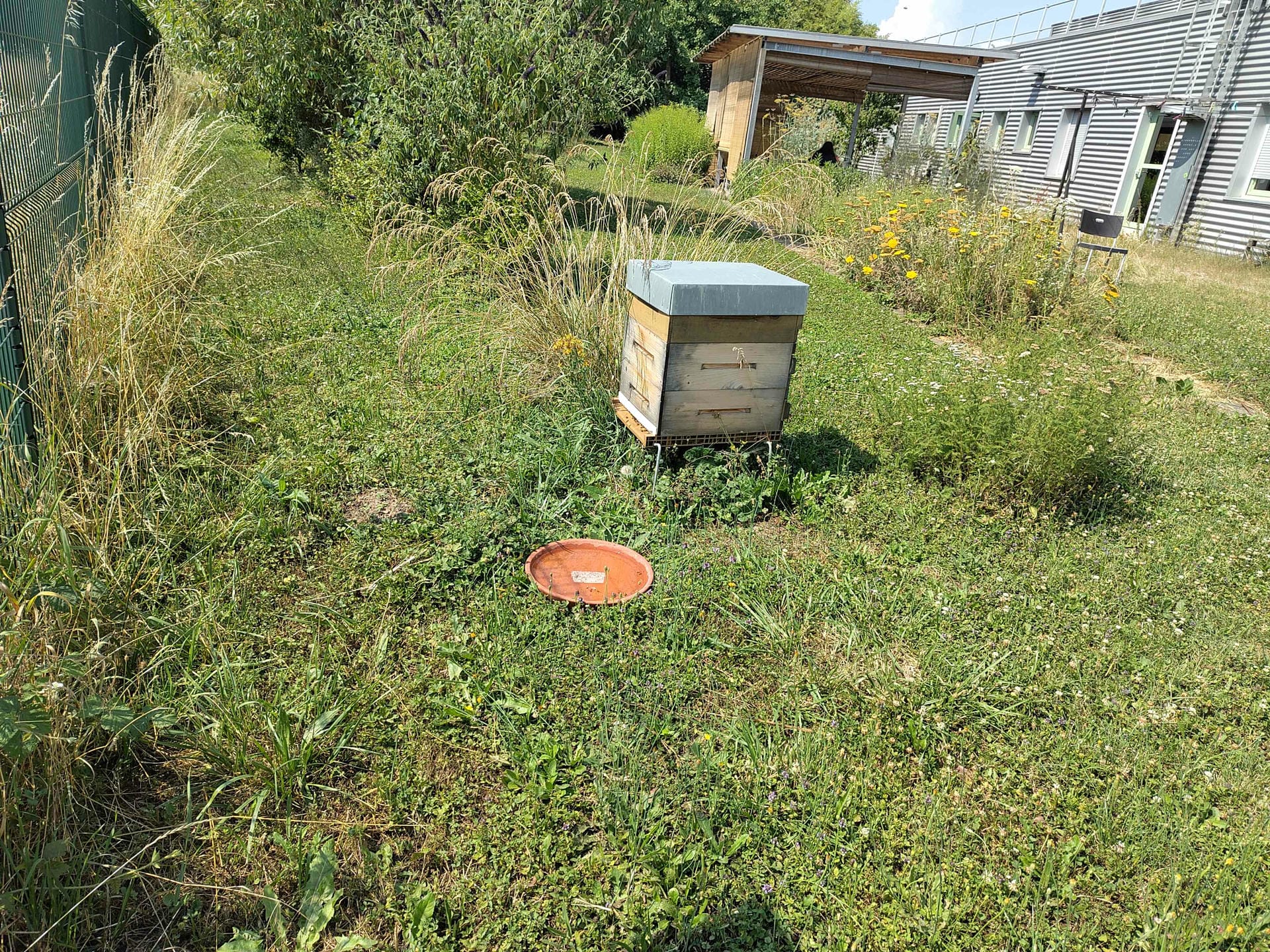 Installation d'un point d'eau pour pollinisateurs aux Jardins de Gaia