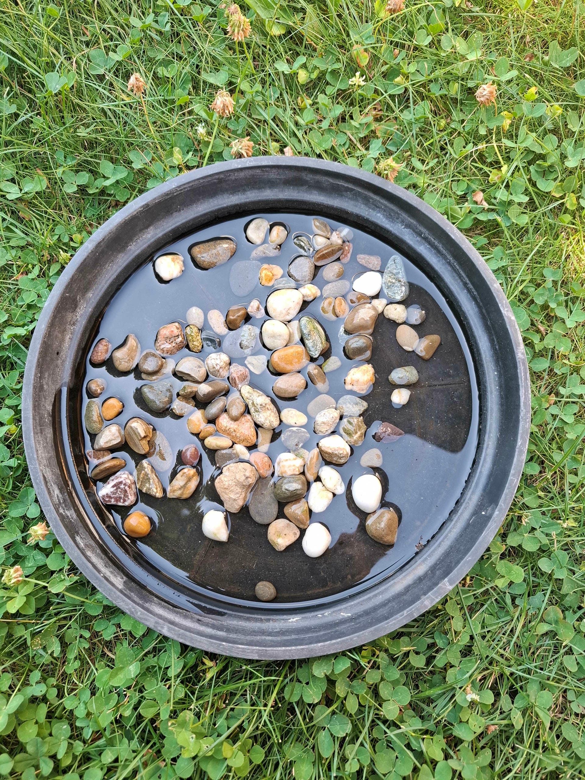 Point d'eau sécurisé pour les abeilles chez Sovec